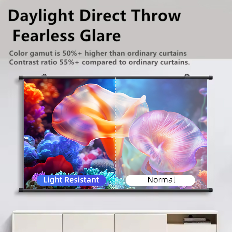 Projector Screen Wall Mounted  - Slide Film 120 review and price
